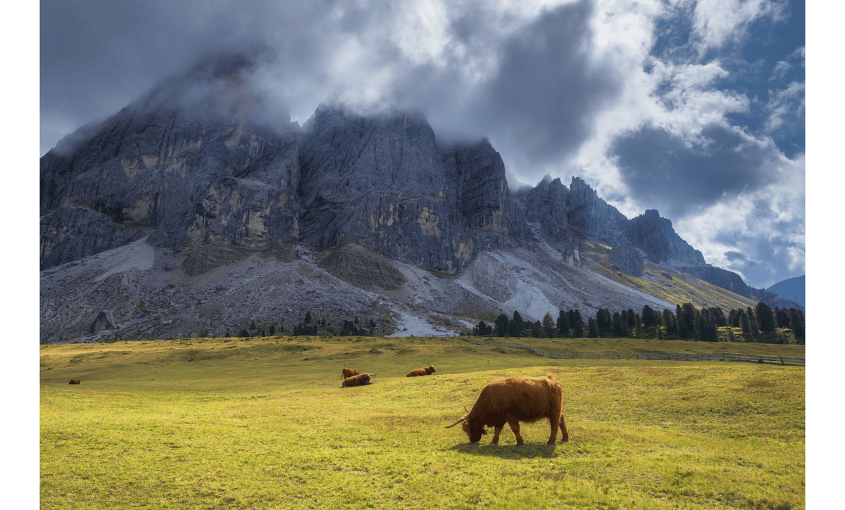 The Scottish Highlands Collection